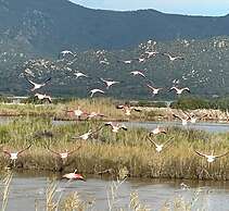 Tenuta Feraxi