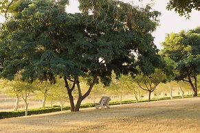 Dwaleni Farm Lodge