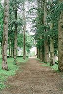 Domaine du Château de Bournel