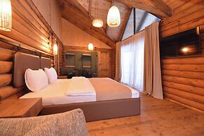 Wooden Villa with pool and sauna