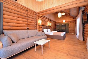 Wooden Villa with pool and sauna