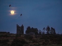 Owl Lodge
