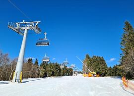 Winterberg Apartment Near ski Area
