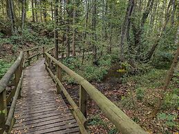 Spacious Flat Near Hiking Trails