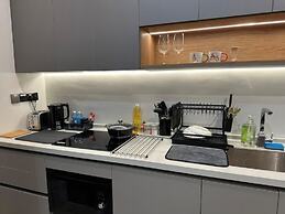 Opus Residences by Emily in Town