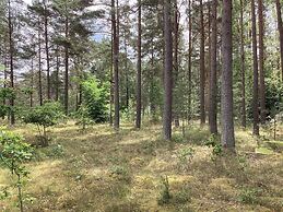 4 Star Holiday Home in Degeberga