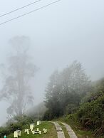 Kodai Hillscape
