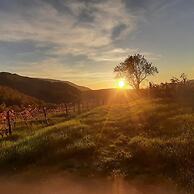 Le Case Residenza di Campagna