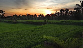 Sava Villa Ubud Rice Fields View