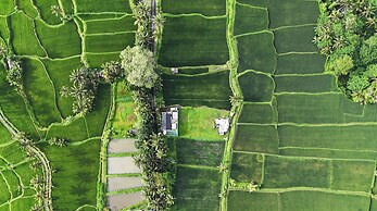 Sava Villa Ubud Rice Fields View