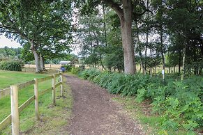 18 Deer Glade