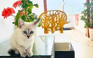 Villa Yucca - B&B and Glamping