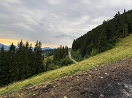Panoramic hut in the ski Area