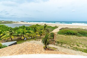 Turtle Seaview