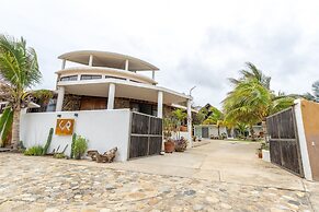 Turtle Seaview