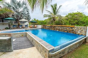Turtle Seaview