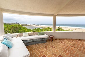 Turtle Seaview