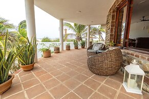 Turtle Seaview