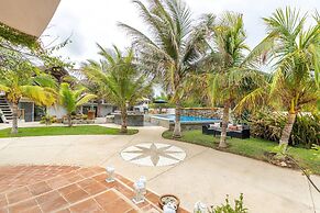 Turtle Seaview