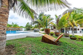Turtle Seaview