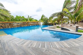 Turtle Seaview