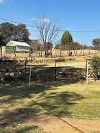 Forest View Self Catering
