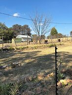 Forest View Self Catering