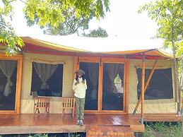 DoubleG Safaris and Camp Mikumi
