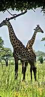 DoubleG Safaris and Camp Mikumi