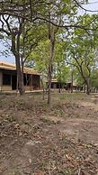 DoubleG Safaris and Camp Mikumi