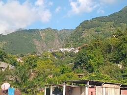lemon tree hostels