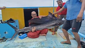 Alsha Inn Dhiffushi