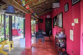 Yuppi Hippi Hideout