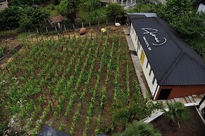 Hotel Chiatureli