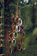 Wood Clusters