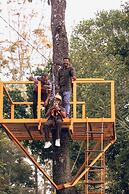Wood Clusters