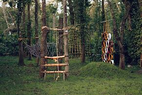Wood Clusters