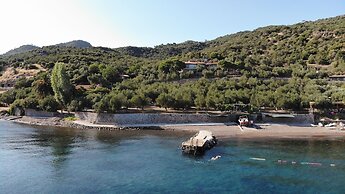 IDAOLEA.ASSOS