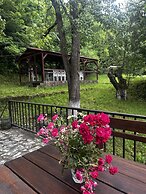 Noor Dilijan