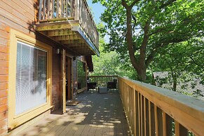 Lodge 68 - Fern Gully