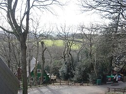 Tor View