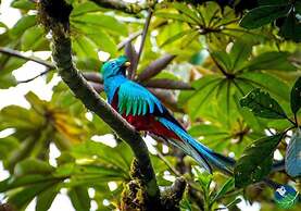 Magic Place Monteverde