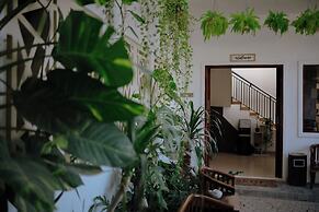 Mama Komodo Bed & Breakfast