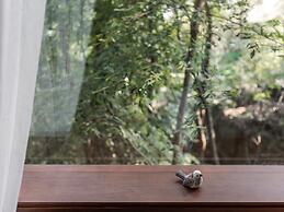 Rediscover Mountain Lodge - Nanshan
