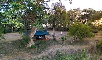 Basecamp Adventure