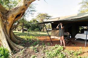 Basecamp Adventure