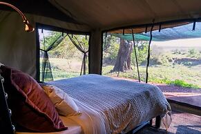 Basecamp Adventure