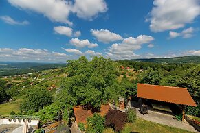 Vineyard cottage Rustika