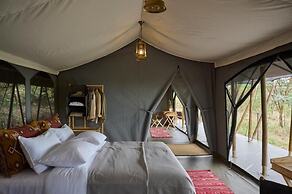 Basecamp Wilderness