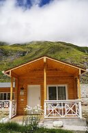Badri Resort Mana, Badrinath